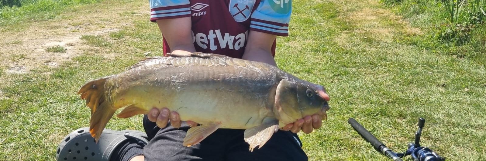Ads The Head ⚒️ banner