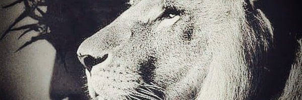 Cantares8_6 Profile Banner