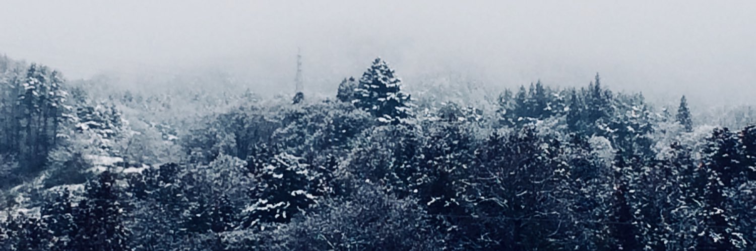 tsuchinoue's profile banner image