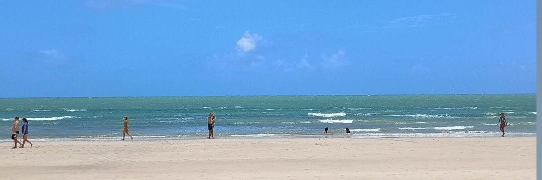 Neto adotivo de Dona Sebastiana banner