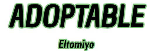 Eltomiyo banner