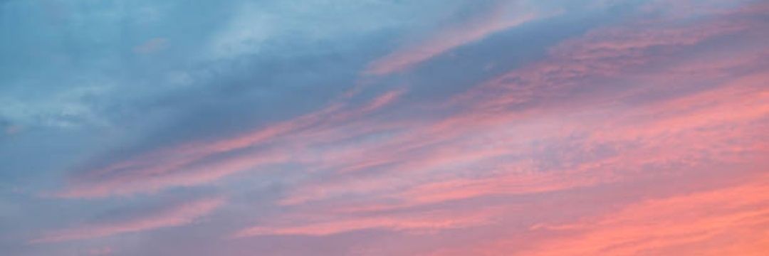 Rayne, and friends banner