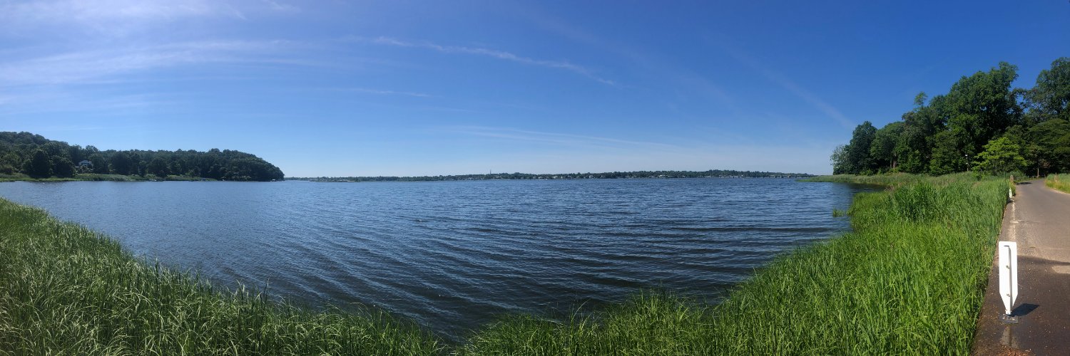 Sean Sullivan🏃🏼‍♂️ banner