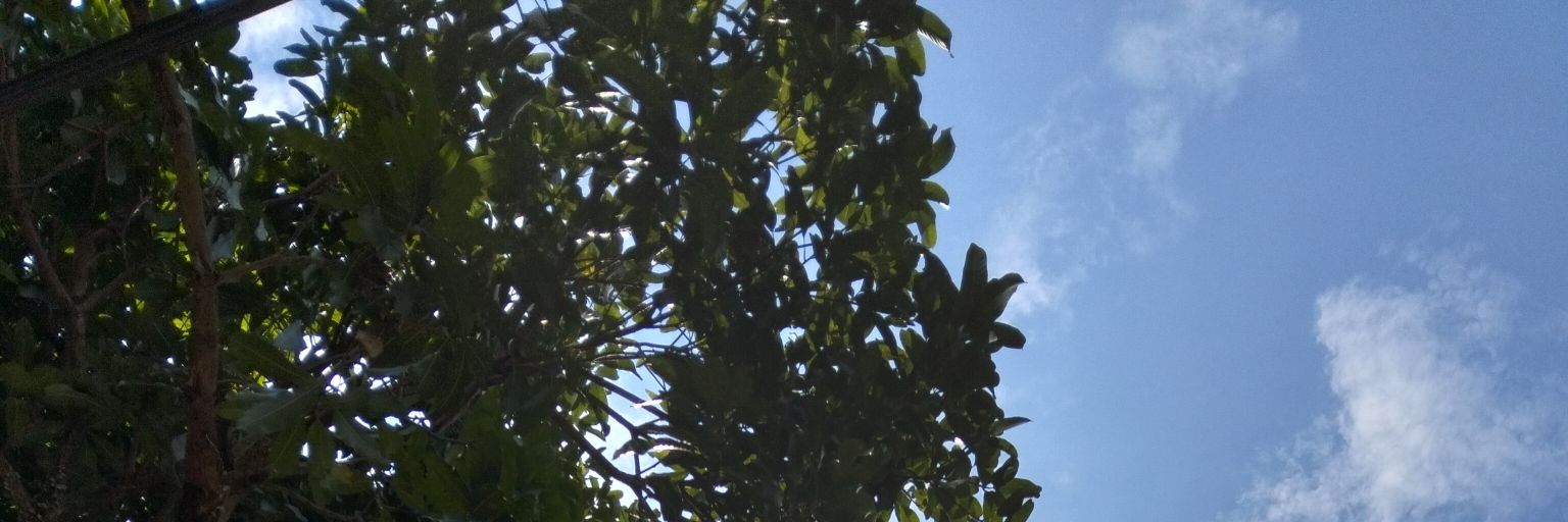 adiknyaa jisoo in universe lain banner