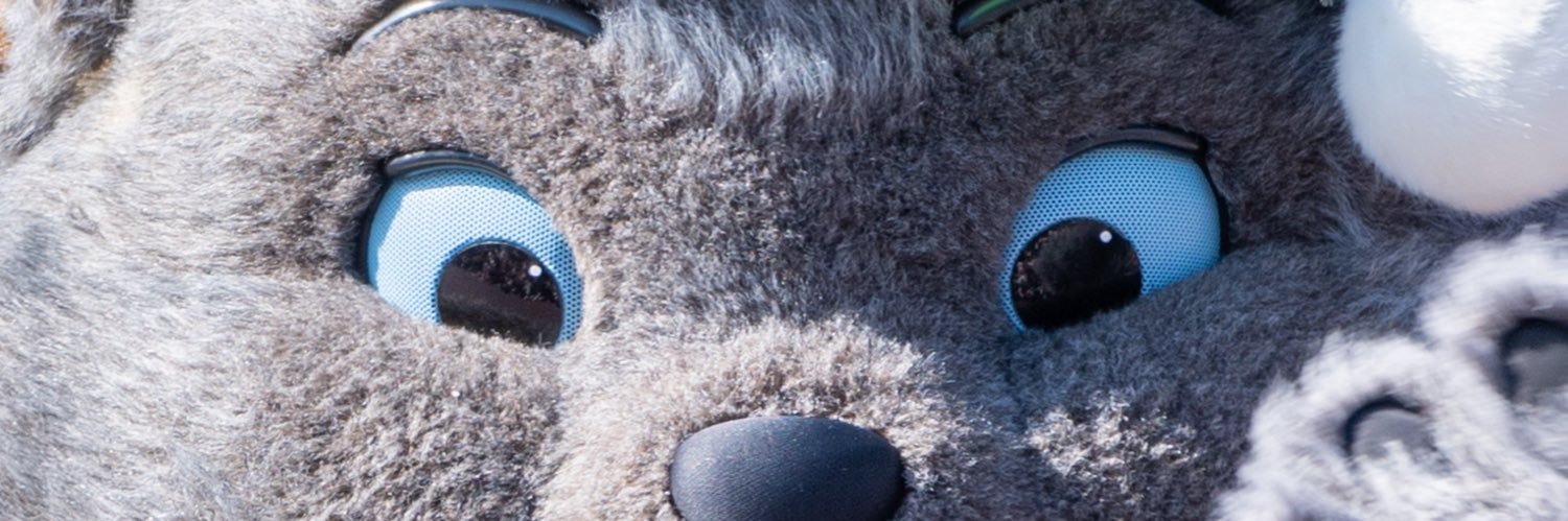 ごろちやん banner