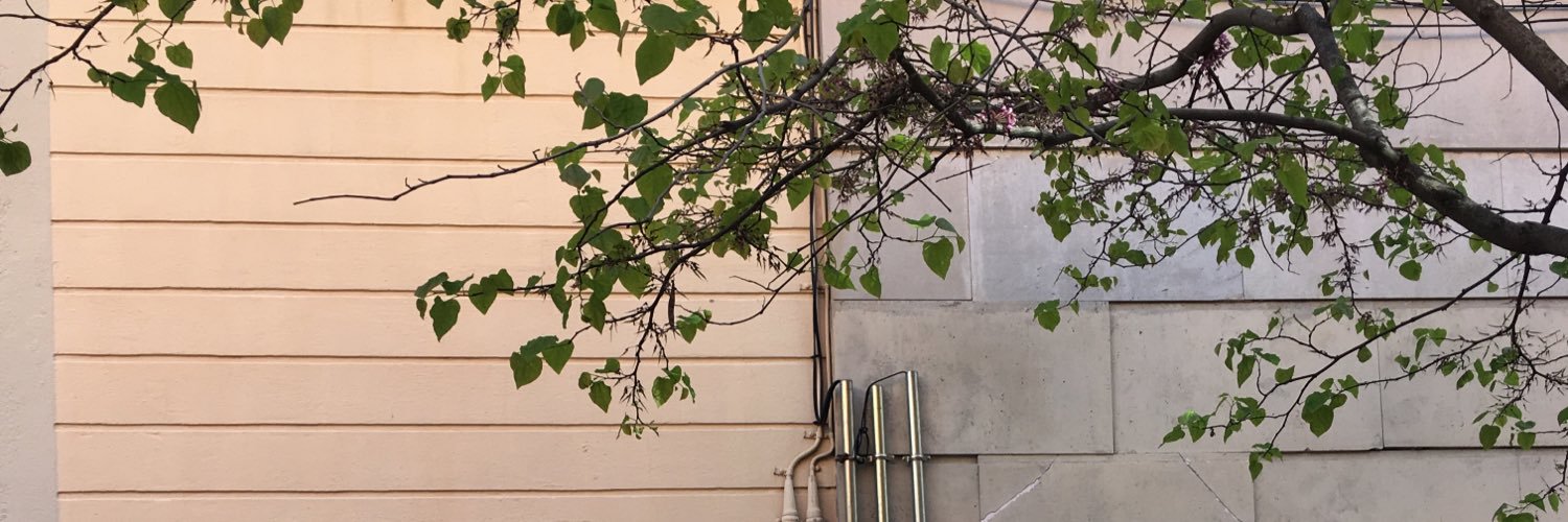 AAragonFerron's profile banner image