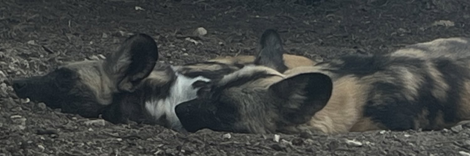 BUHLAYKE 😂🥩 banner