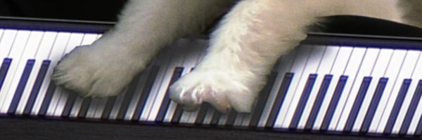 CattiovO Profile Banner