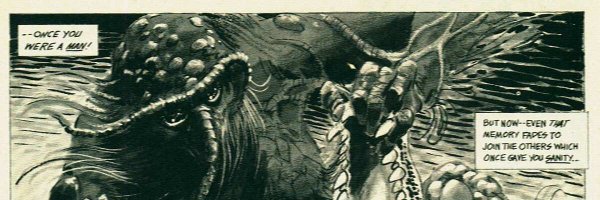 swashbucklarrgh Profile Banner