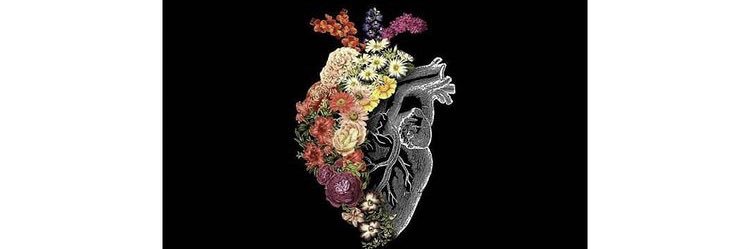 هٌــ دووء banner