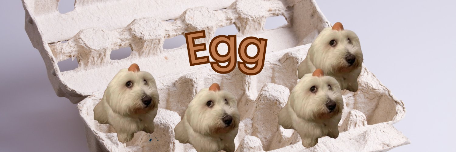 dogwithegg_sol's profile banner image