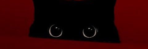 🪭 banner
