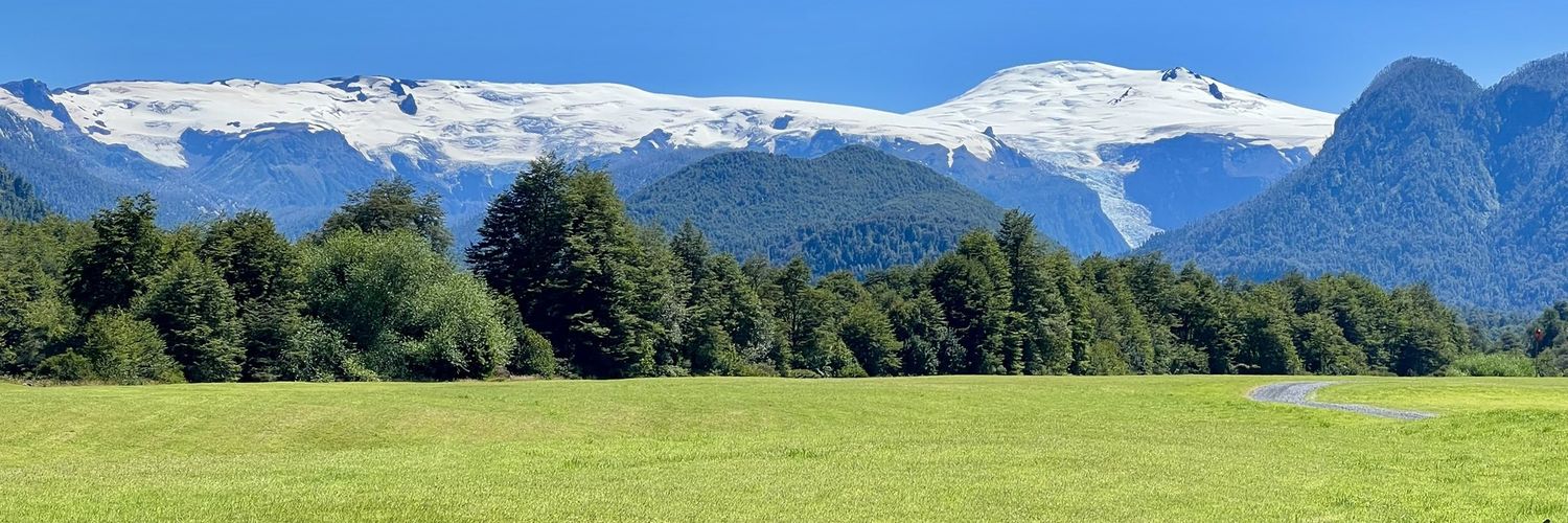 Tomás Réing banner