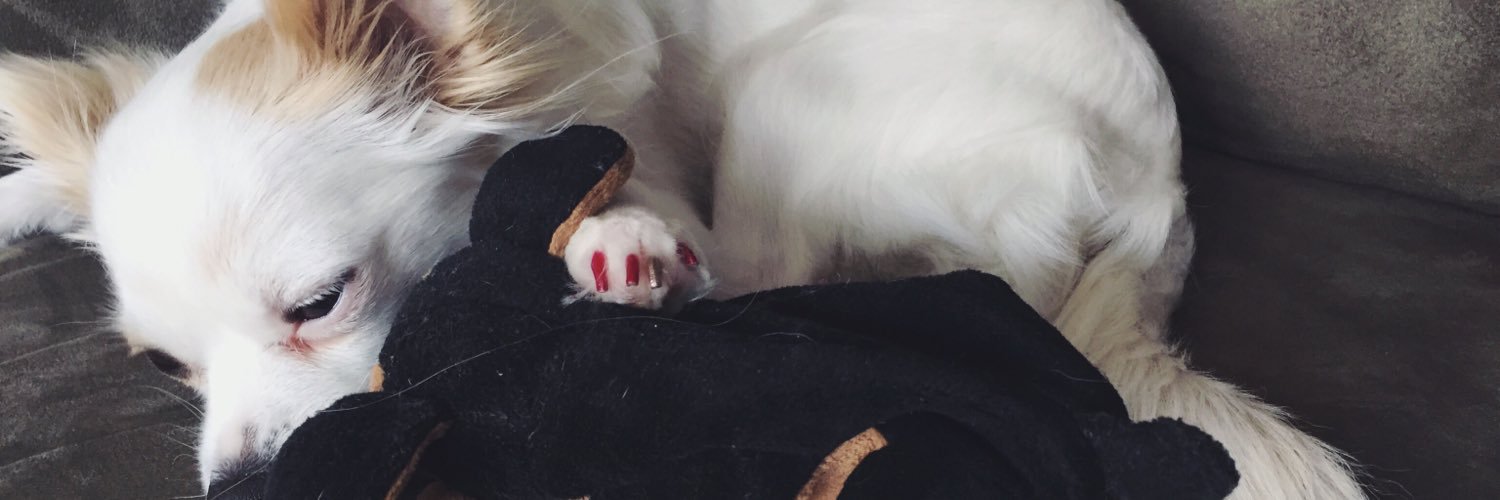 jussxo's profile banner image
