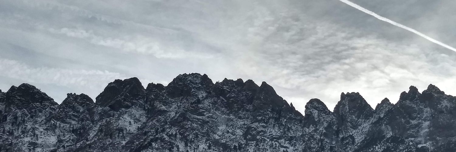 oakviolin's profile banner image