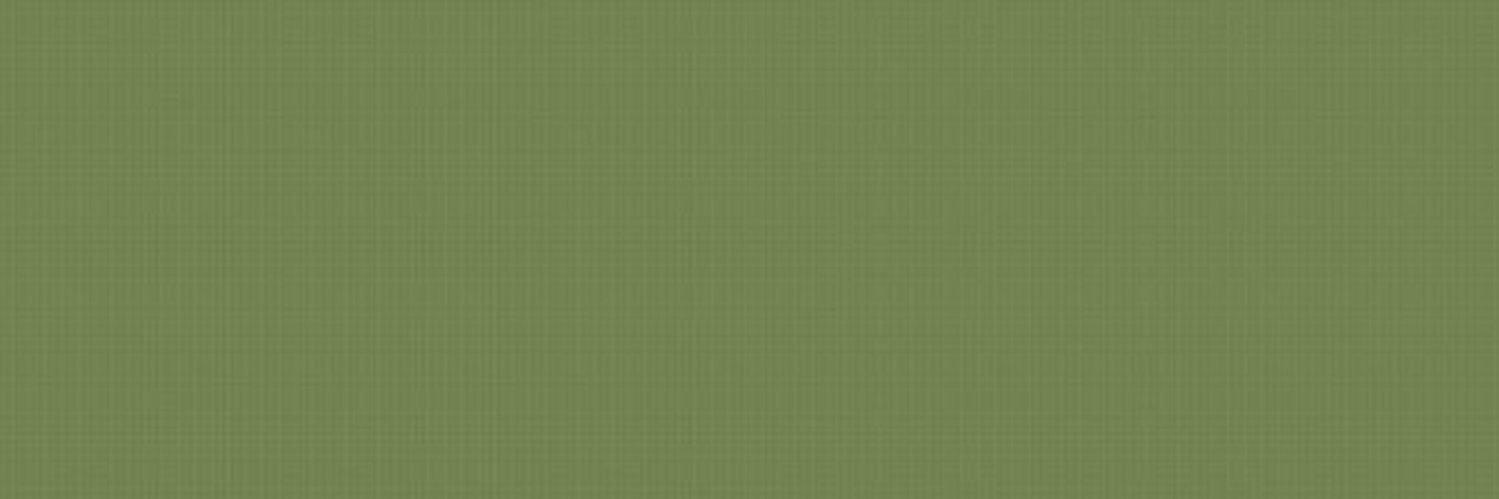 livia banner