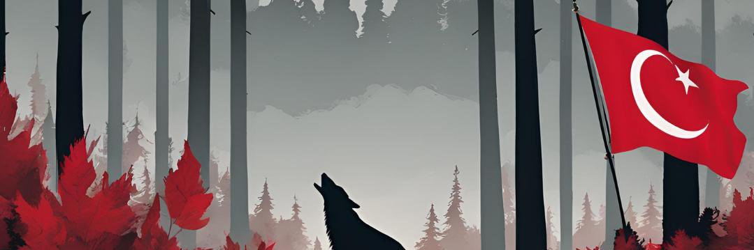 doliben's profile banner image