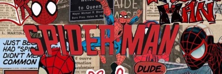 VecinoSpidy_'s profile banner image