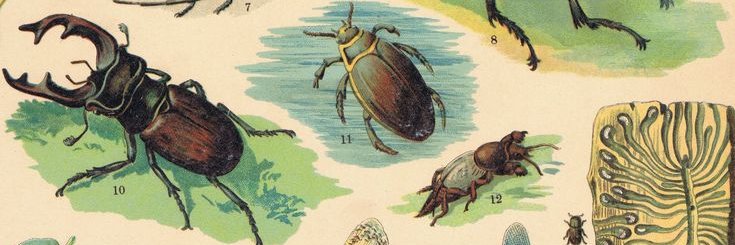 Floraalmoth's profile banner image