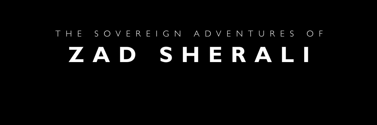 zadsherali's profile banner image