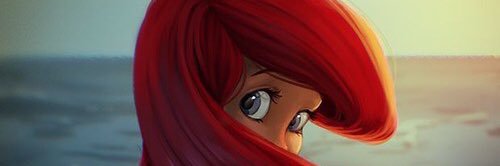 Desti banner