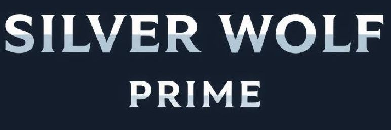 The1SilverWolf's profile banner image