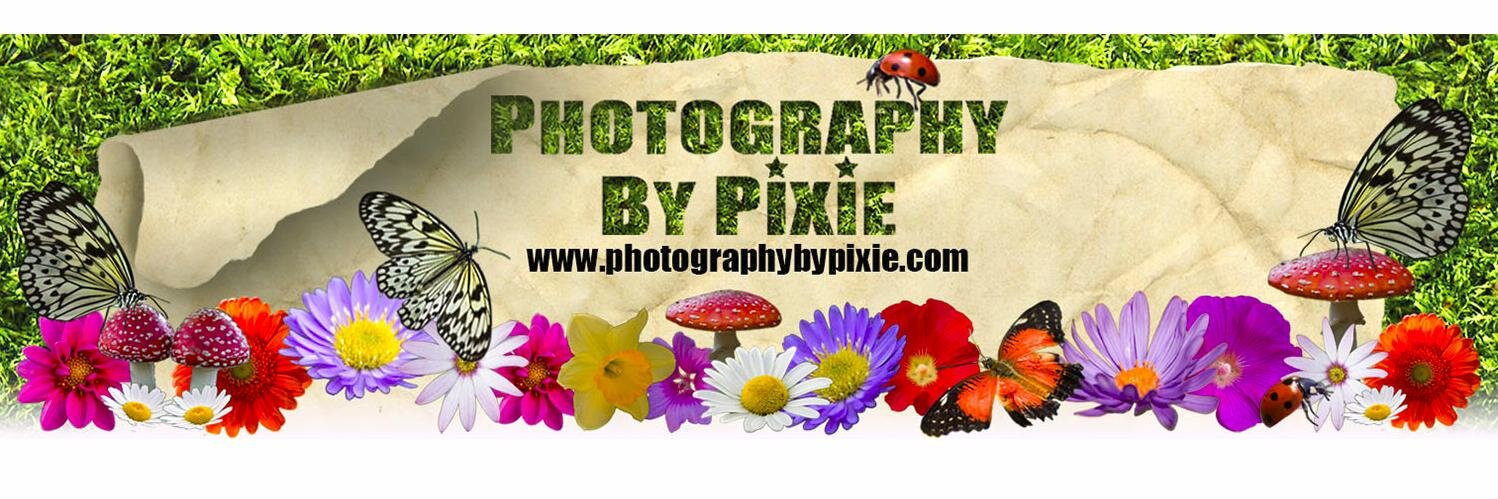 PhotoByPixie's profile banner image