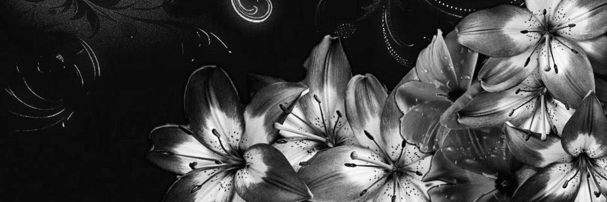 Lewis🕯️🎼 banner