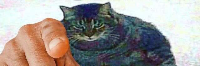 Jucodropout69's profile banner image