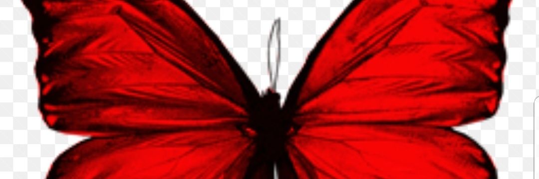 yinkabuk's profile banner image