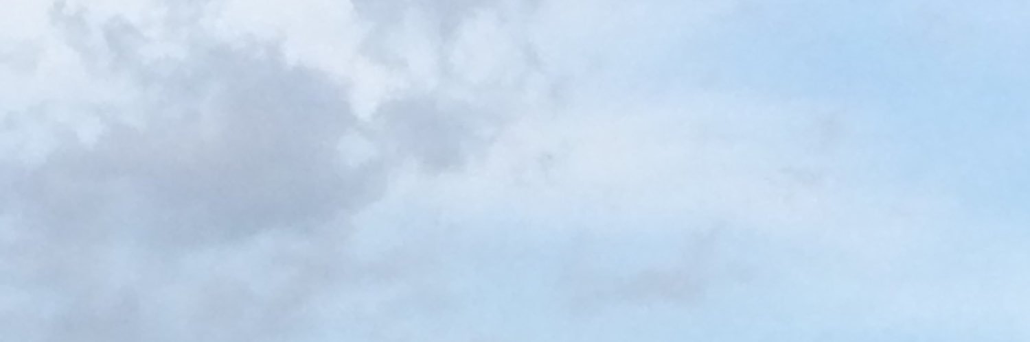 achicocchi's profile banner image