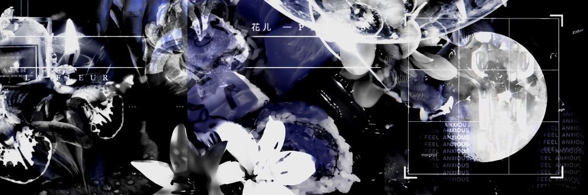 paro ᶻ 𝗓 𐰁 banner