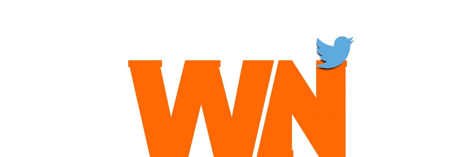 Webnews.it banner