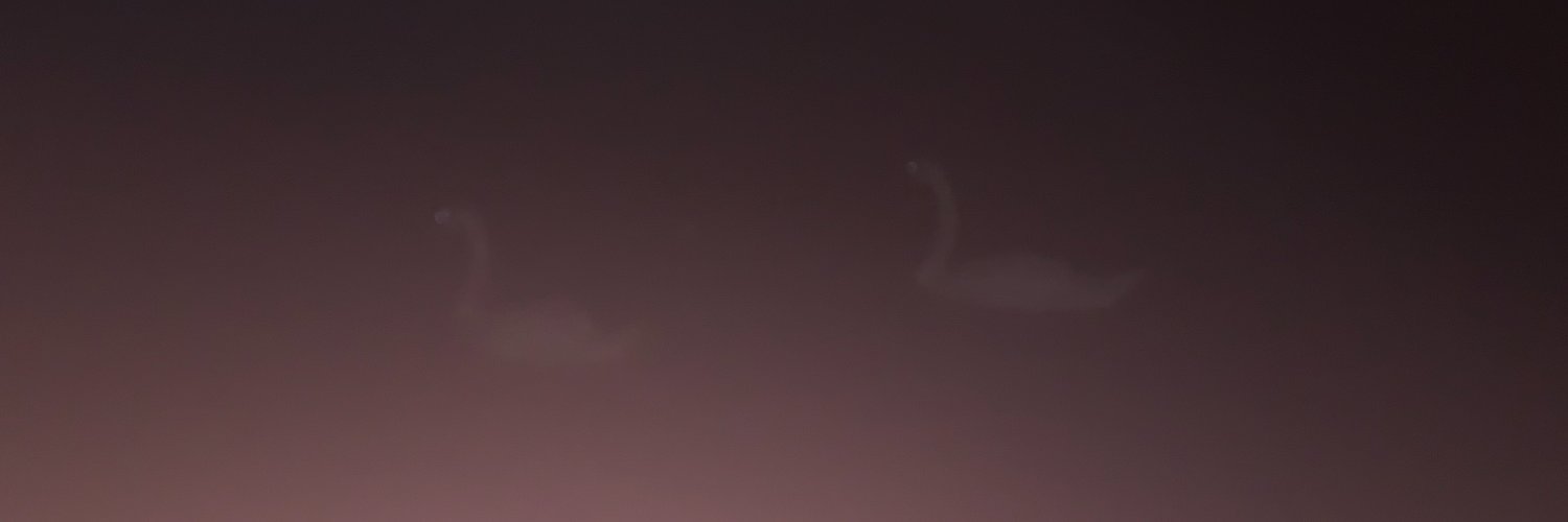 dmtrj, bae banner