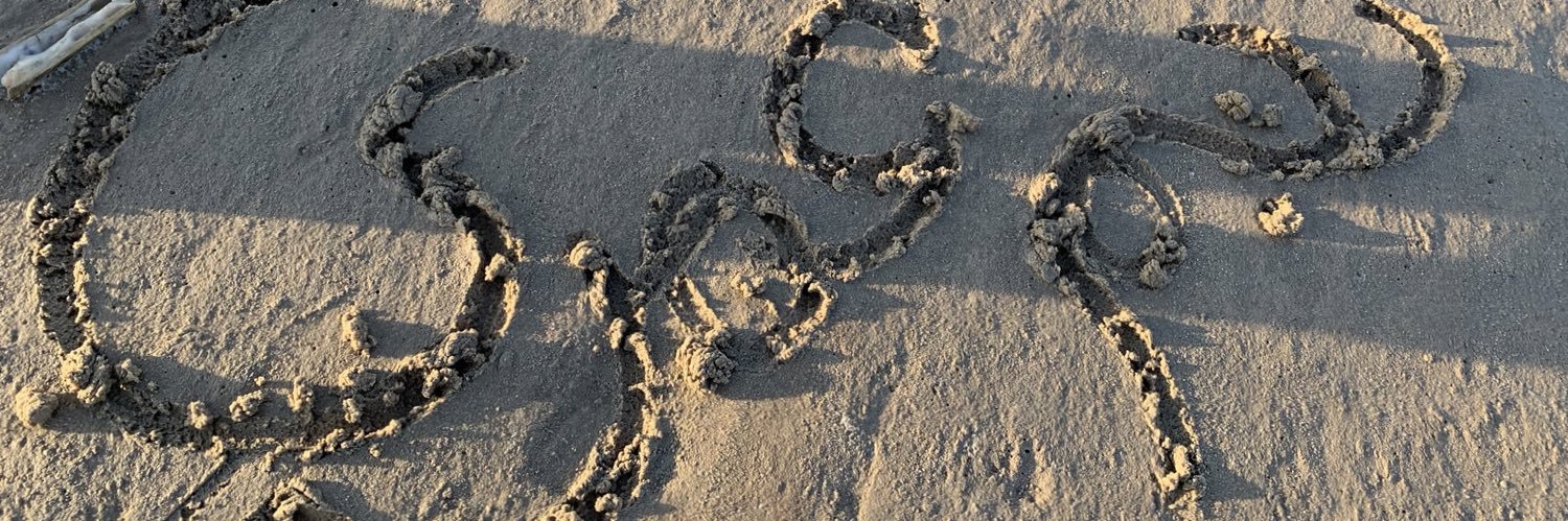 zeezo_z2's profile banner image