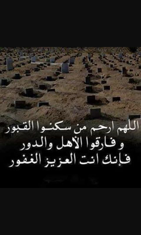 كنق النظيم banner