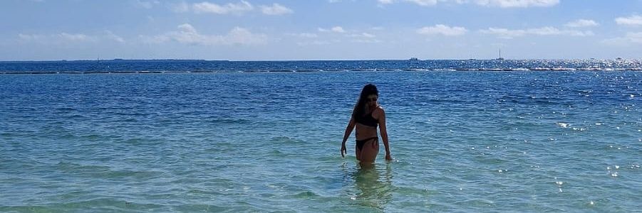 Carolinasdz's profile banner image