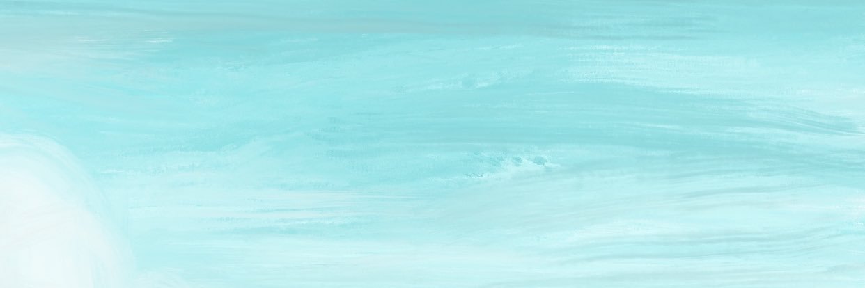 ana banner