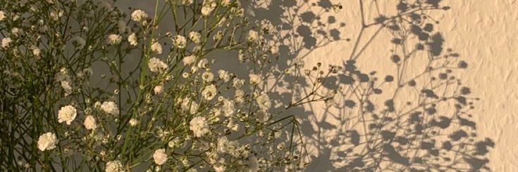 ♡⸝ banner