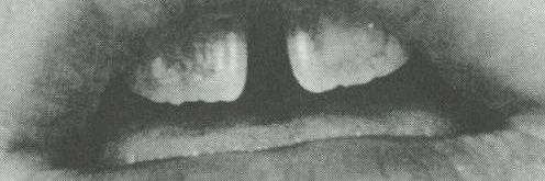 francisco mar banner