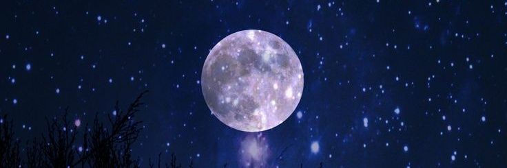 Raymond t. Record (Hiatus) banner