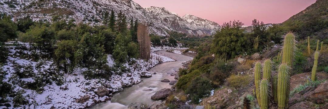 Marcela Mella Ortiz banner