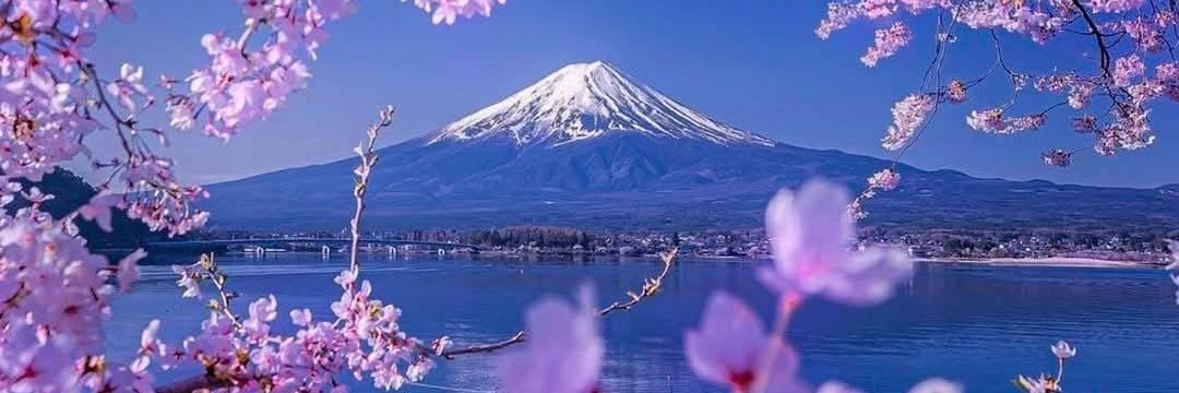 life is beautiful's banner