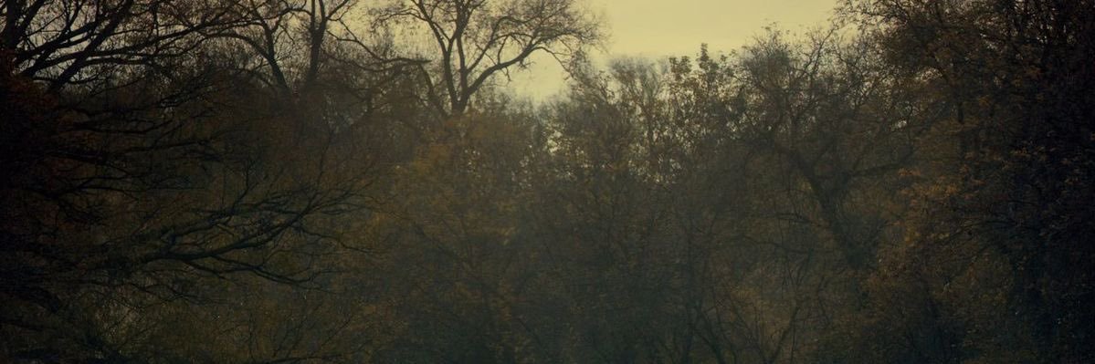 ♱ banner