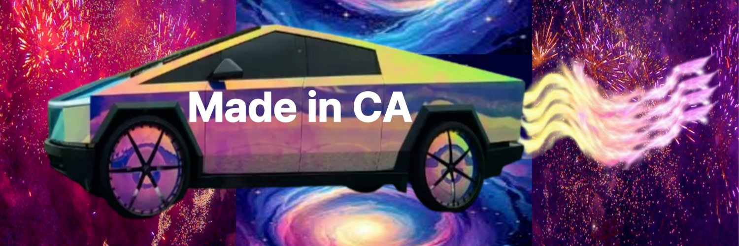My gender is Cyber Truck banner