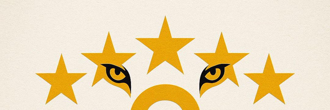CeSuR banner