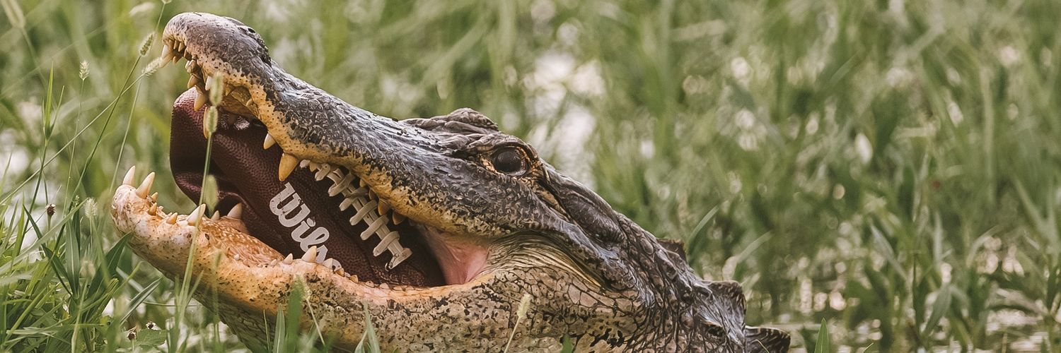 Bucco Mike 🏴‍☠️ banner