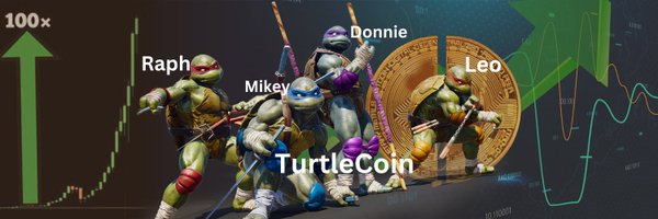 realturtlecoin Profile Banner