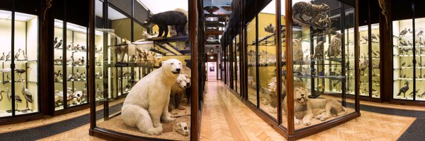 NHM_Tring Profile Banner