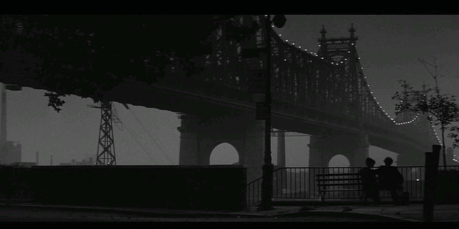 CamQuiroga's profile banner image